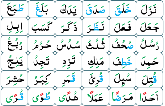 Quran Tajweed Classes